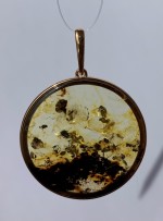 ���������� ������������ �������� "�������� �����"