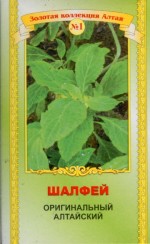 ������ ������������ ���������