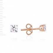 C����� ������ � ��������� Swarovski&reg;