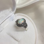 ���������� ������ "׸���� ����". ���� � ��������