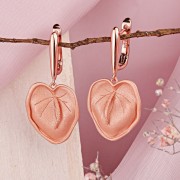 ������� ���� ������������ C�����